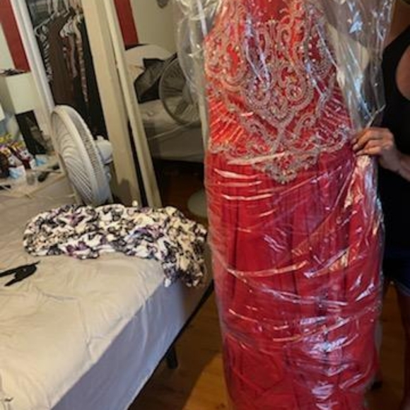 Quinceañera Dress size 10, with Slip - Picture 3 of 6